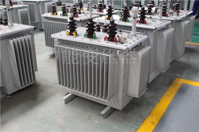 长白山S22-250KVA/10KV变压器